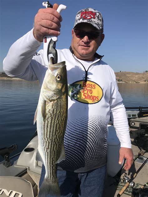 Jim Taibi's 661 FISHING .